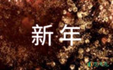 關(guān)于新年慰問信范文匯編七篇