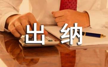 出納轉(zhuǎn)正申請表個(gè)人總結(jié)范文