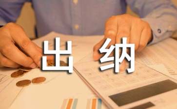 出納轉(zhuǎn)正申請表簡潔個人總結（通用5篇）