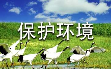 保護(hù)環(huán)境刻不容緩建議書